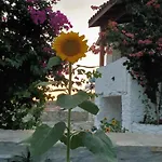 Güneşli Tepe Datça Cumali