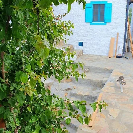 Guenes Butik Datca 3*