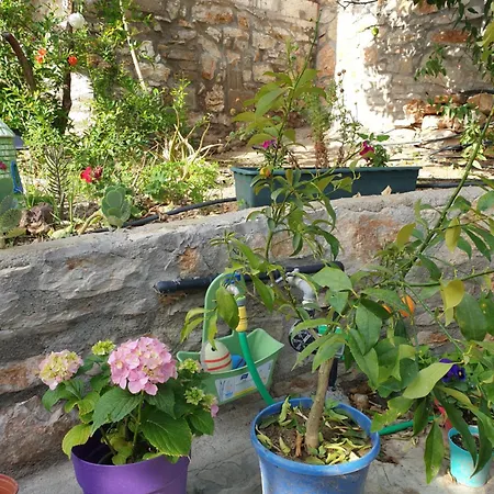 Guenes Butik Datca 3* Cumali