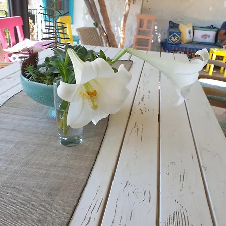 Guest house Guenesli Tepe Datca Cumali