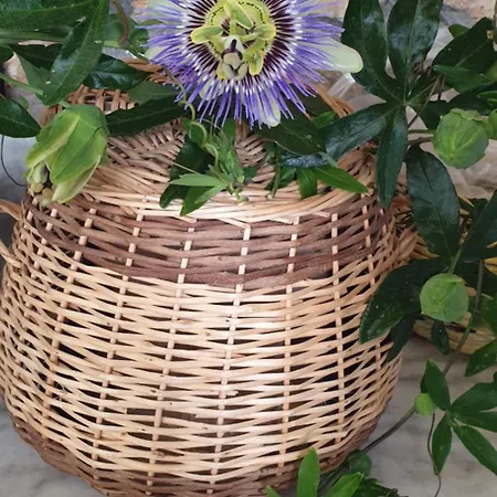 Guenes Butik Datca Pensionat
