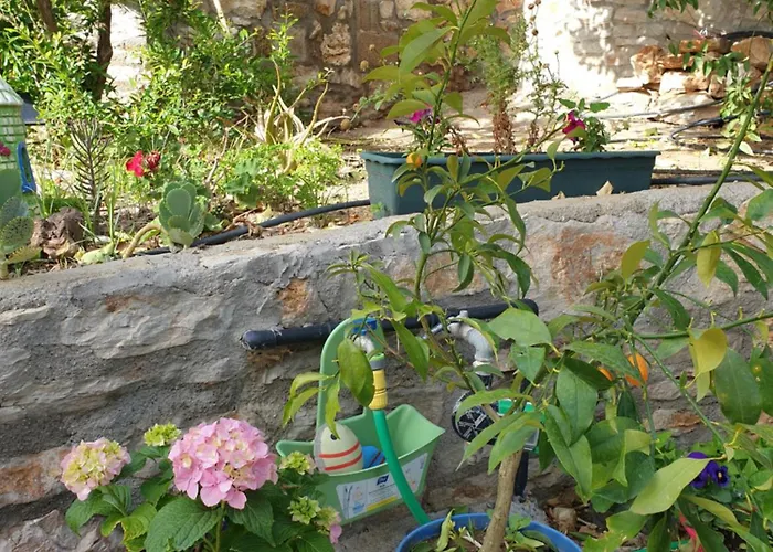 Güneş Butik Datça 3* Cumali