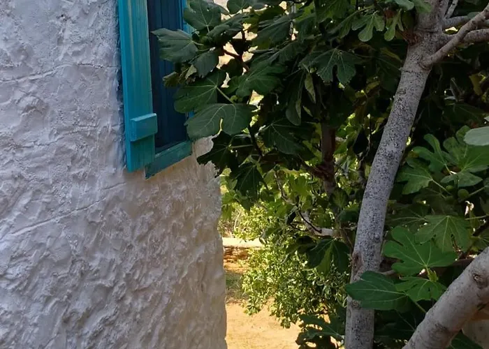 Güneş Butik Datça Casa de hóspedes