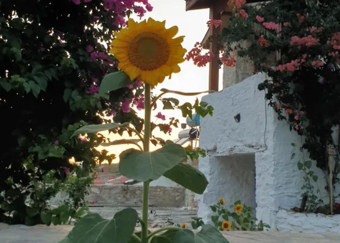 Güneş Butik Datça Cumali